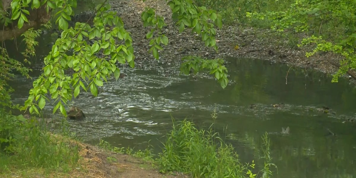 City expects public health advisory over E. coli in creeks to be lifted next week