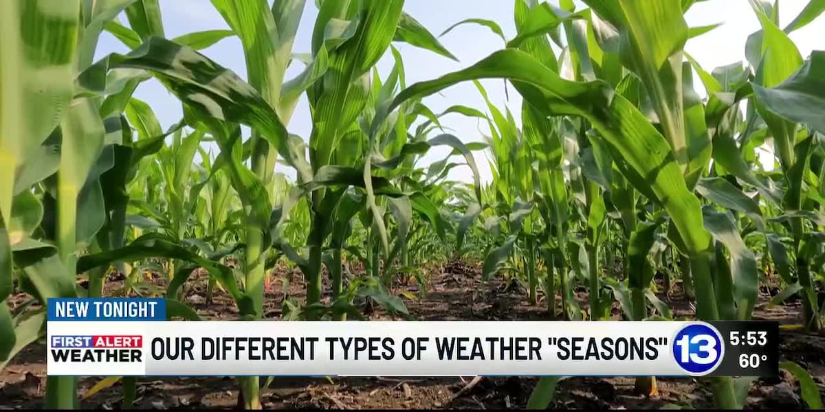 The different types of weather ‘seasons’ in NW Ohio & SE Michigan