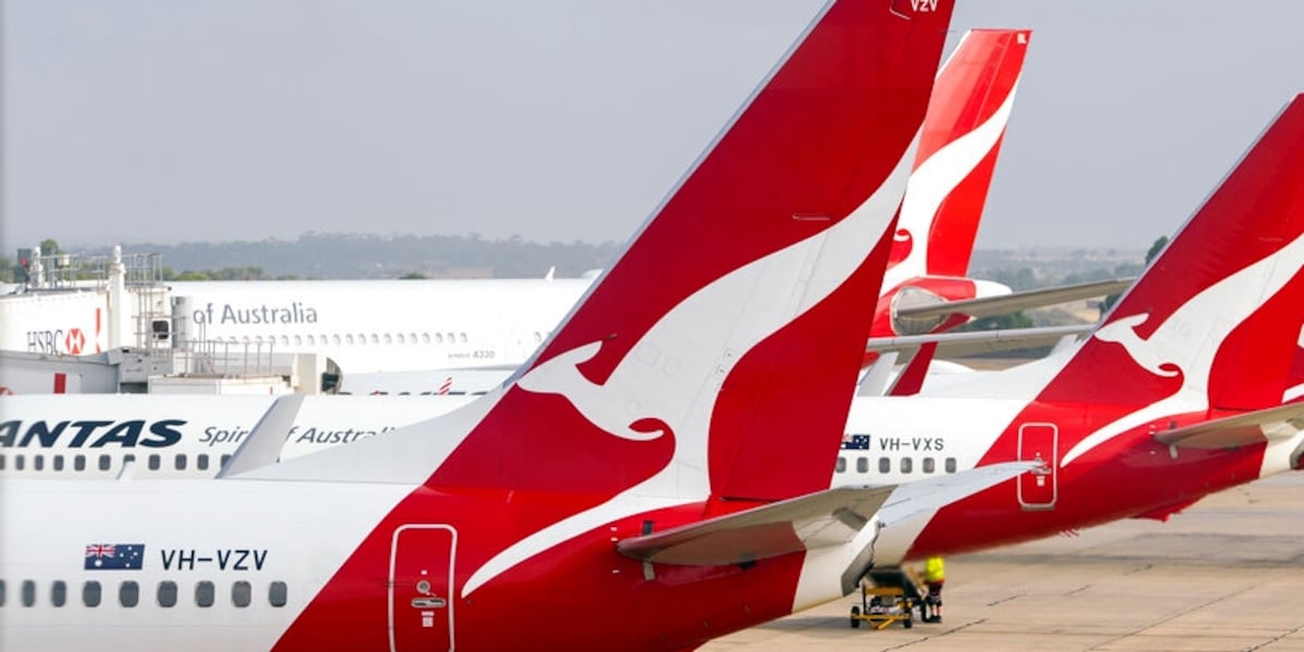 Crawling Inscets Flight grounded after passengers noticed bed bugs crawling and biting them