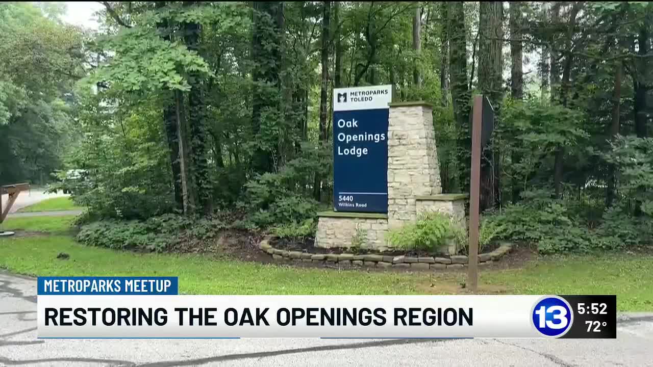 В Огайо восстановили более 1,7 тысячи акров уникальной экосистемы Oak Openings