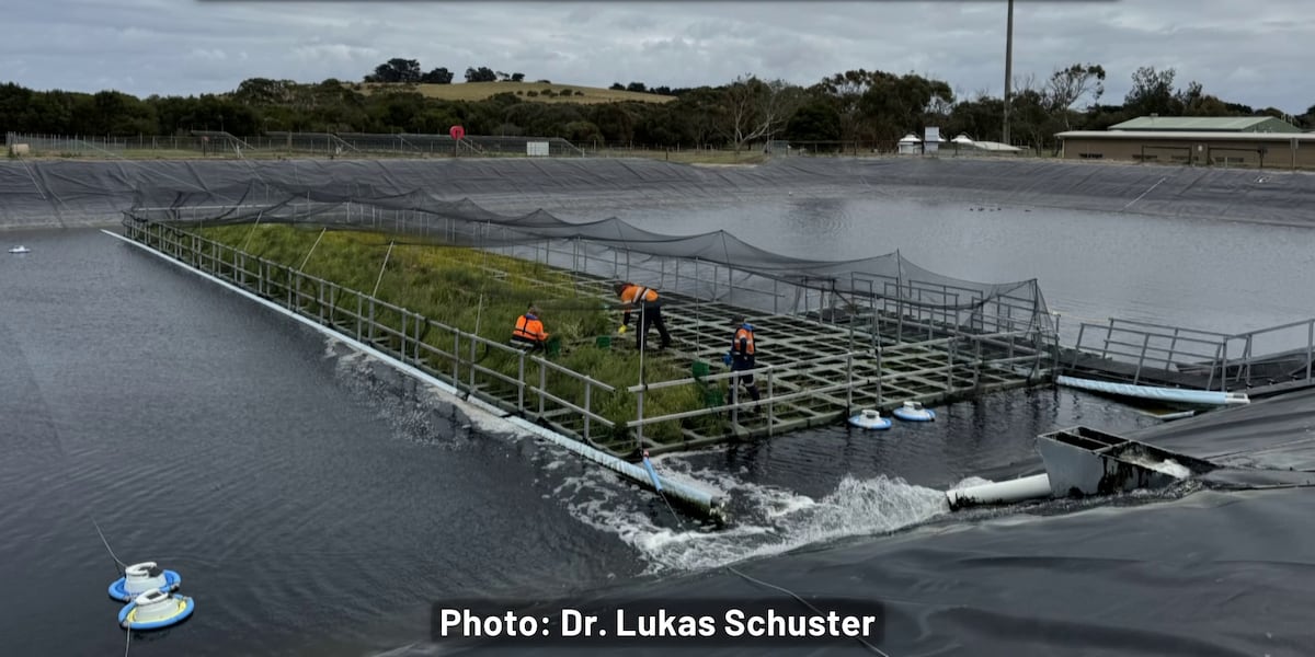Moment of Science: How “constructed floating wetlands” help reduce greenhouse gas emissions