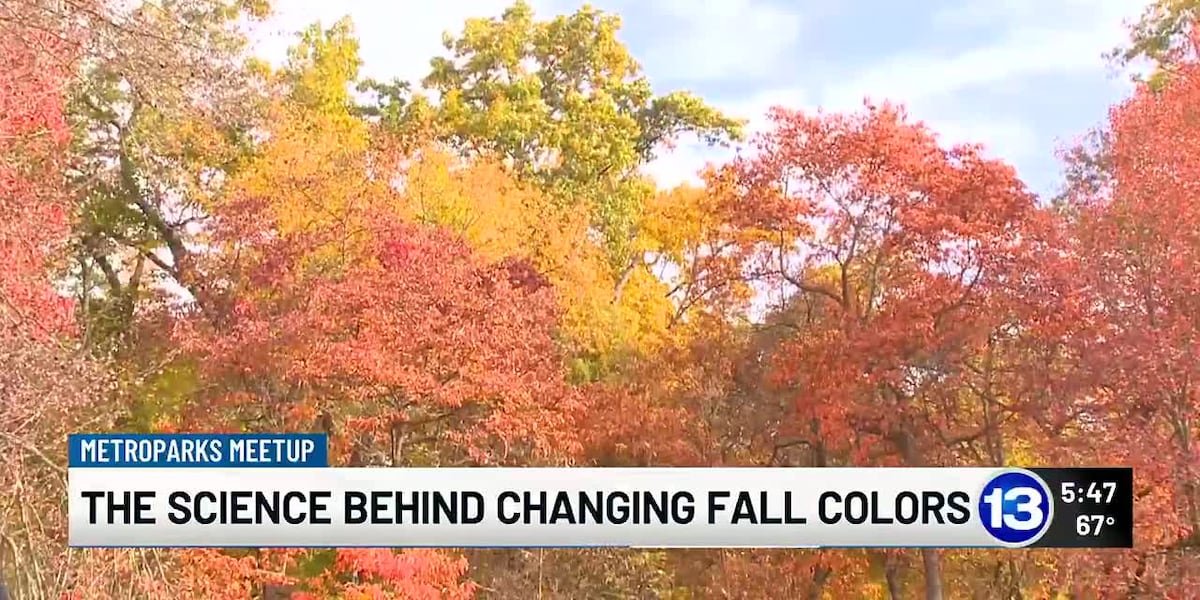 Changing Fall Photos The science behind changing fall colors