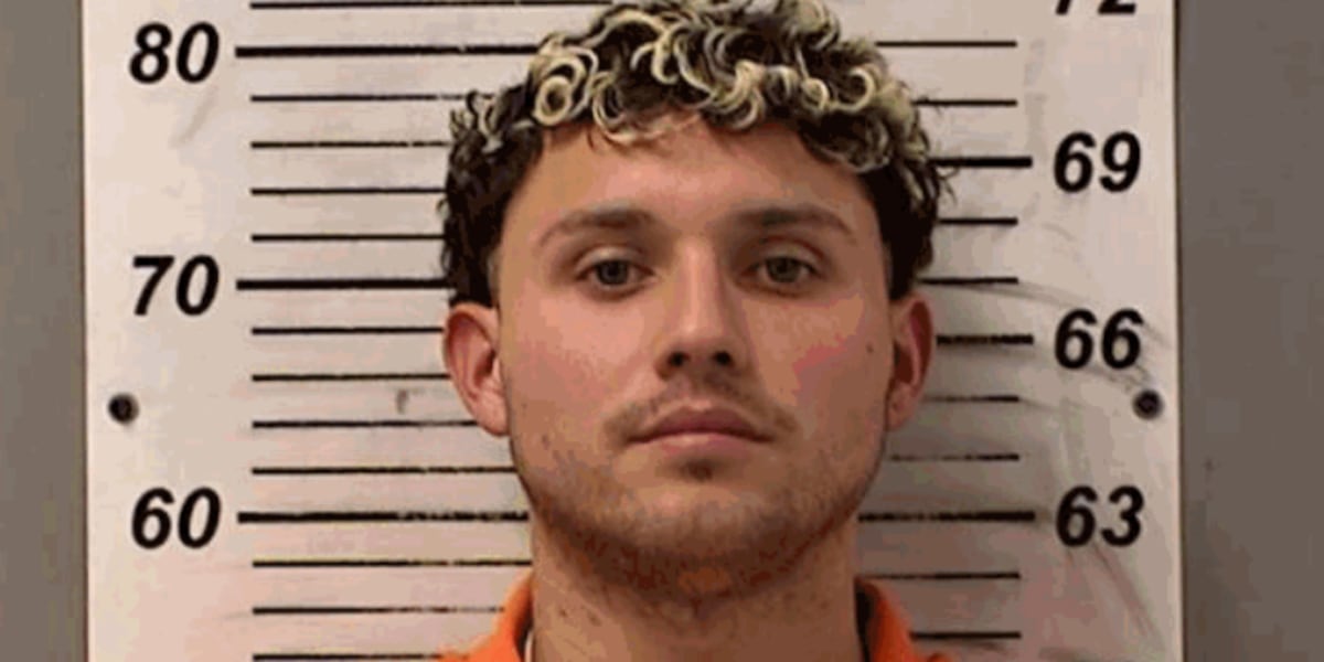 Venezuelan man accused of posing as teen in Perrysburg indicted on federal charges