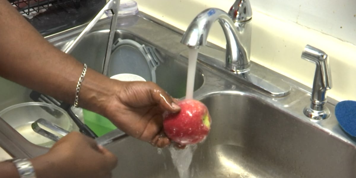 Experts say Cyclosporiasis cases continue to climb across southeast Michigan, northwest Ohio