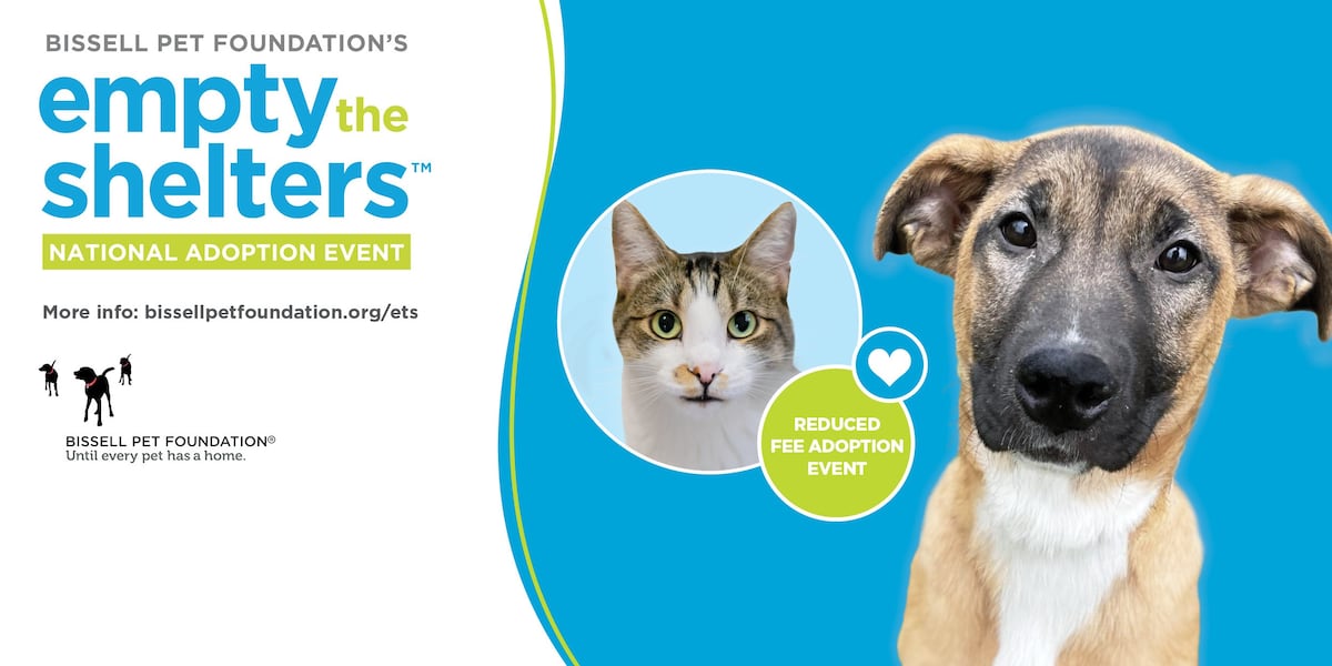 Empty The Rescues Toledo Animal Rescue to participate in national Empty the Shelters ...