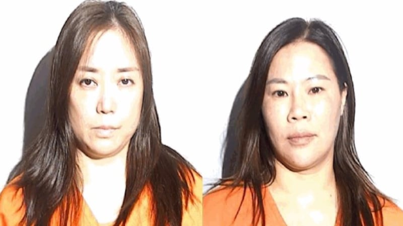 Lizzhen Feng, 46, of Toledo and Na Shu, 40, of Edison New Jersey were taken into custody and...