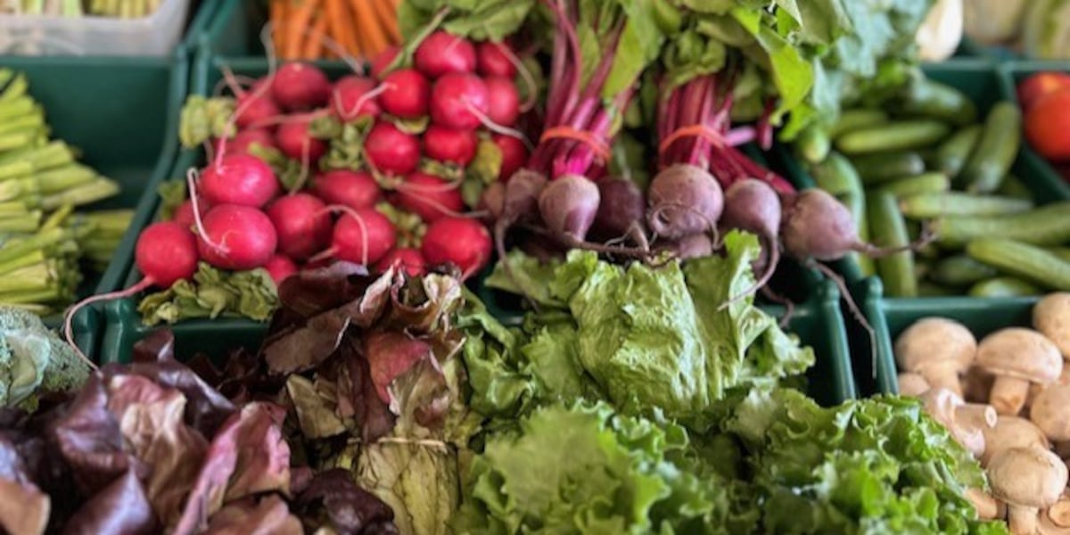 New pop-up market aims to expand fresh food access at Swayne Field site New pop-up market aims to expand fresh food access at Swayne Field site