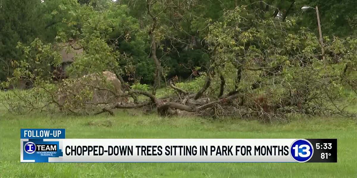 I-TEAM Neighborhood Nuisance: Chopped-down trees sitting in park for months