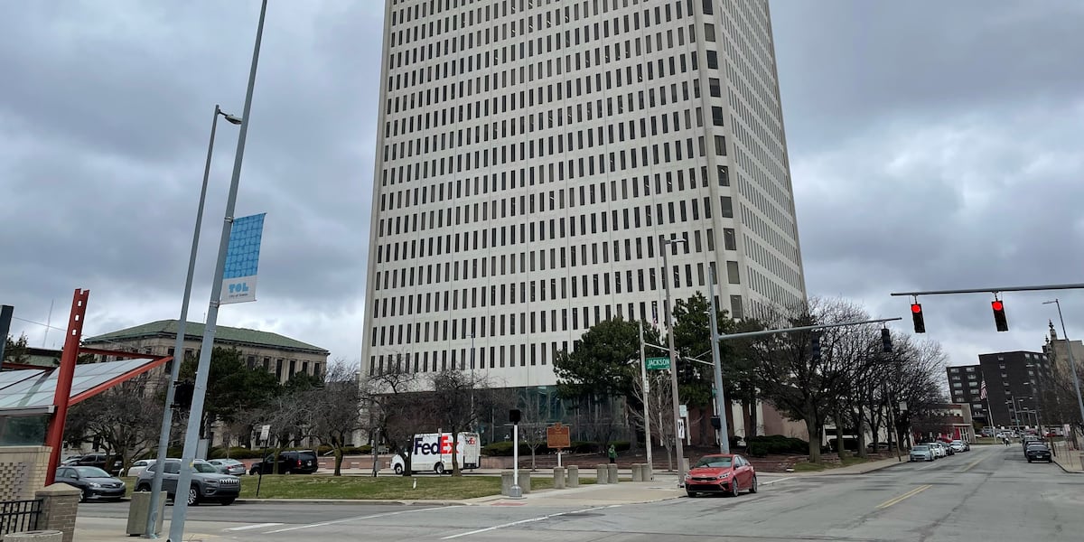 13 Action News image accompanying the council report.