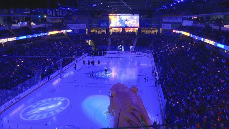 Toledo Walleye (File)