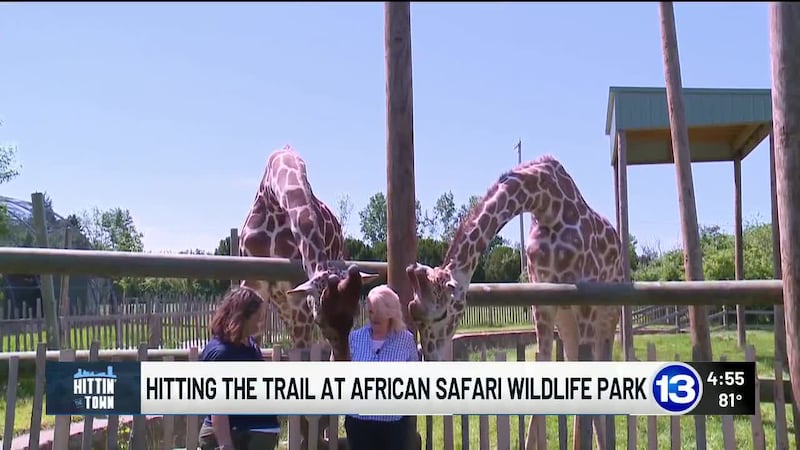 The African Safari Wildlife Park in Port Clinton offers experiences for animal lovers of all...