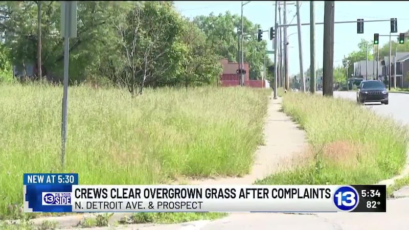 Toledo resident says tall grass near N Detroit Avenue created safety hazard for pedestrians