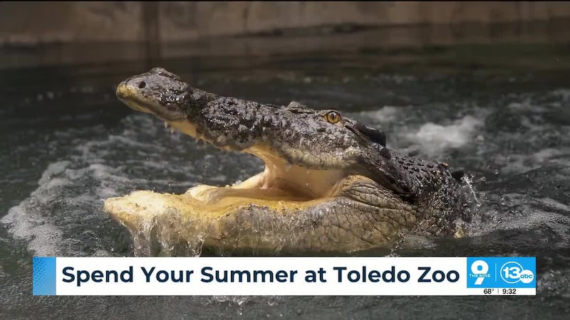 Come meet our new friend at the Toledo Zoo!🐊 Get tickets for Zoo-To-Do and other upcoming...