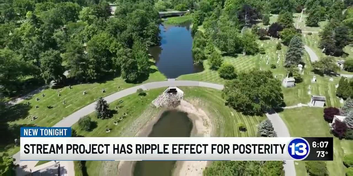 Woodlawn Cemetery stream restoration project aims to benefit people, wildlife