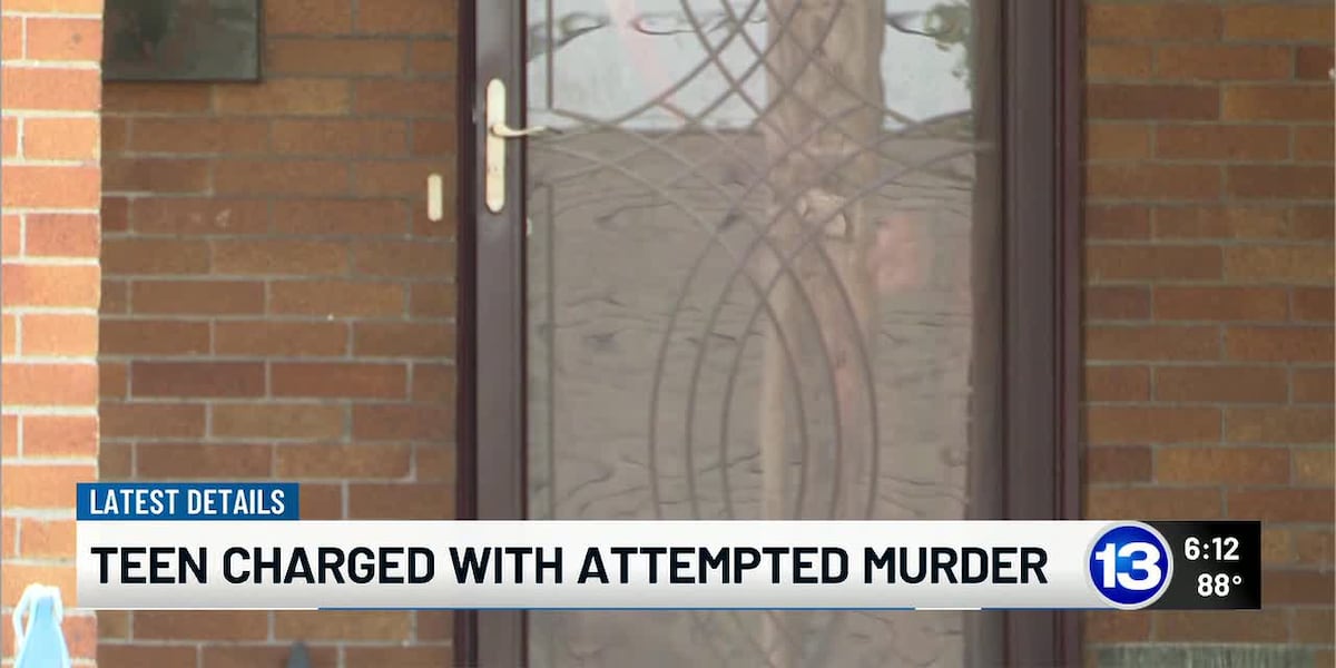 Prosecutors file upgraded charges for teen accused of stabbing two adults in Gibsonburg