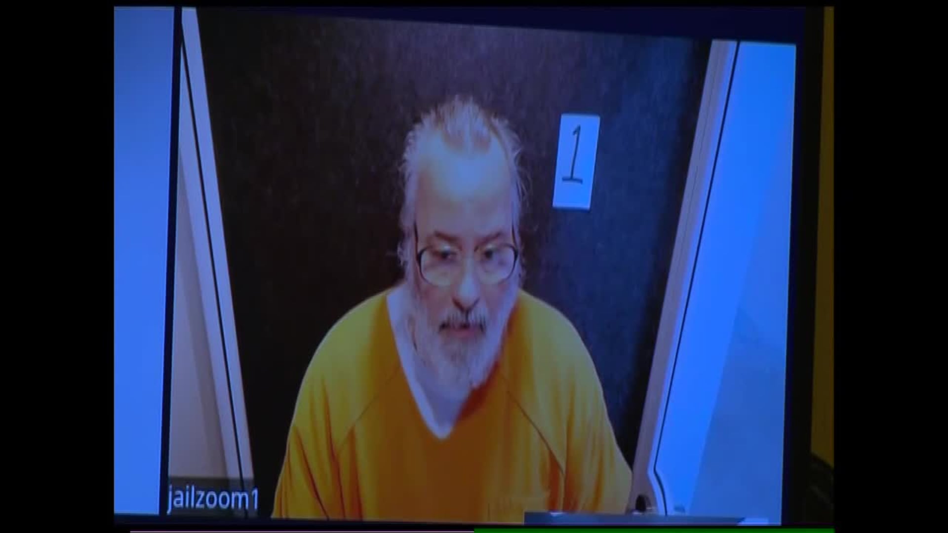 Full hearing: John Skelton's virtual court appearance